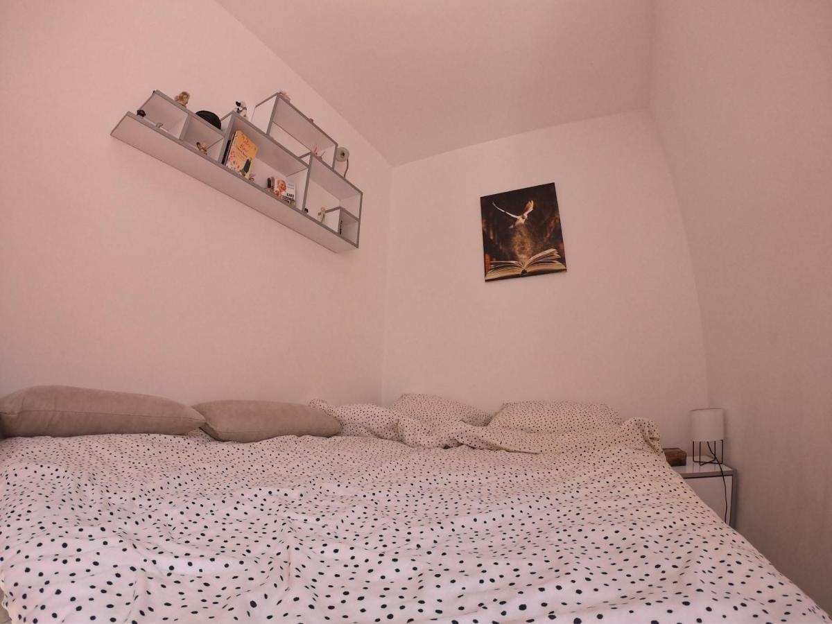 Apartmani K&V Veliko Gradište Exterior foto